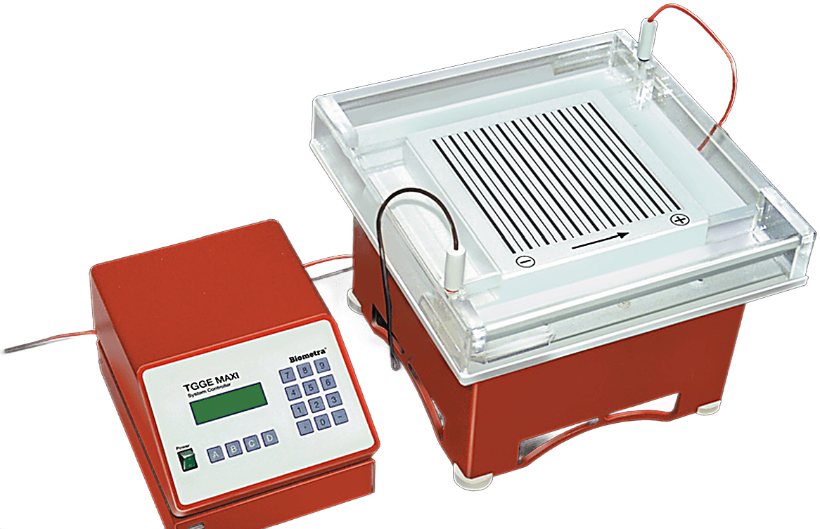 Whatman/Biometra TGGE MAXI System (Temperature Gradient Gel Electrophoresis)